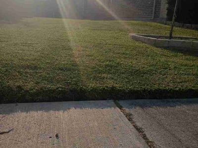 Lawn Care service in Greenwich, 06830