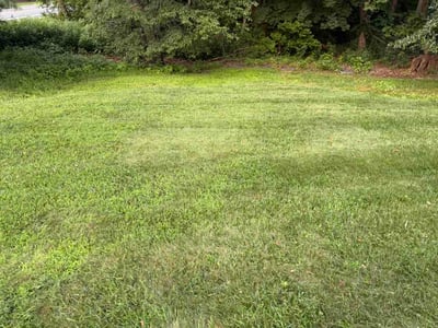 Lawn Care service in Clementon, 08021