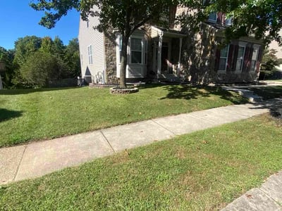 Lawn Care service in Perry Hall, 21128