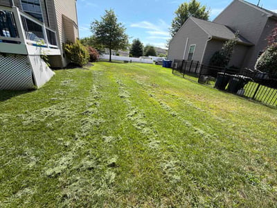 Lawn Care service in Burlington, 08016