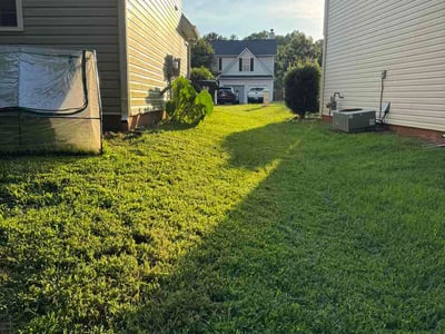 Lawn Care service in Dedham, 02026