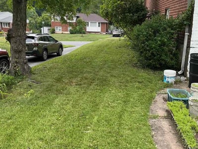 Lawn Care service in Towson, 21286