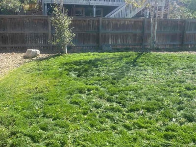 Lawn Care service in Ridgefield, 06877