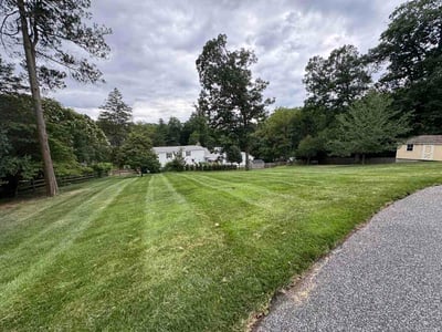 Lawn Care service in Towson, 21286