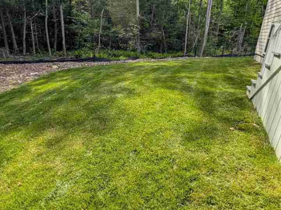 Lawn Care service in Bellingham, 02019