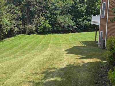 Lawn Care service in Fairfield County, 06883