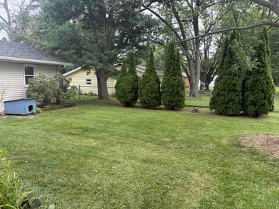 Lawn Care service in Marlton, 08053