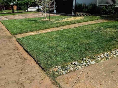 Lawn Care service in Peyton, 80831