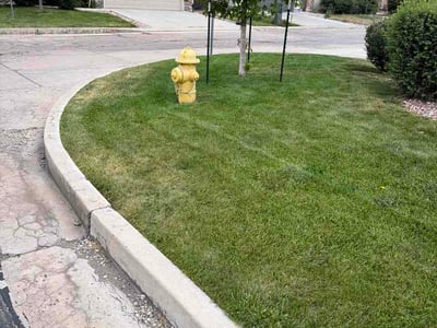 Lawn Care service in Peyton, 80831