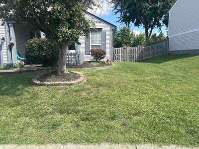 Lawn Care service in Circleville, 43113