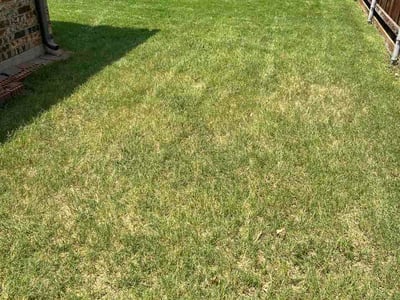 Lawn Care service in Carrollton, 75006
