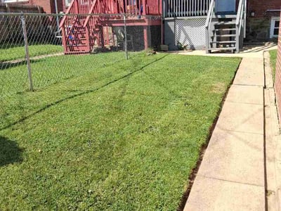 Lawn Care service in Suitland, 20746