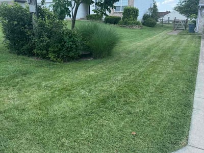 Lawn Care service in Monroe, 45044