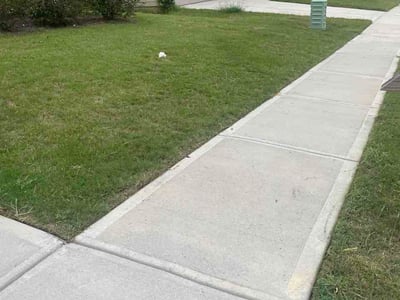 Lawn Care service in Jackson, 30233