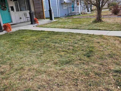 Lawn Care service in Fairplay, 80440