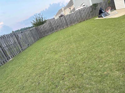 Lawn Care service in Calera, 35040