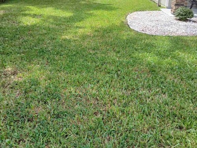 Lawn Care service in Kingston, 02364