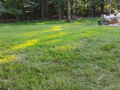 Lawn Care service in Pikesville, 21208