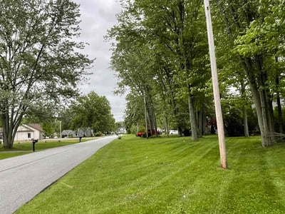 Lawn Care service in Mentor, 44060
