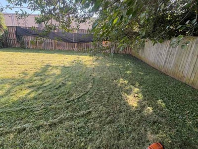 Lawn Care service in Pikesville, 21208