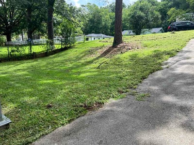 Lawn Care service in Pell City, 35125