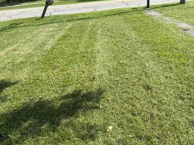 Lawn Care service in West Chester, 45069
