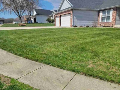 Lawn Care service in Kingston, 02364