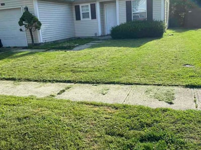 Lawn Care service in ,