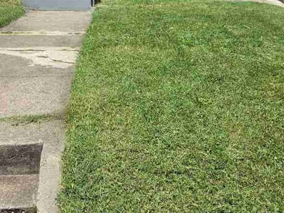 Lawn Care service in Mount Airy, 21771