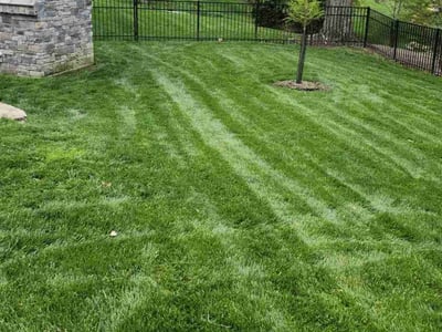Lawn Care service in ,