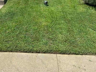 Lawn Care service in Abingdon, 21009