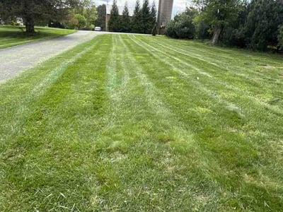 Lawn Care service in Edgewater, 21037
