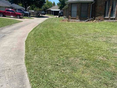 Lawn Care service in Sachse, 75048