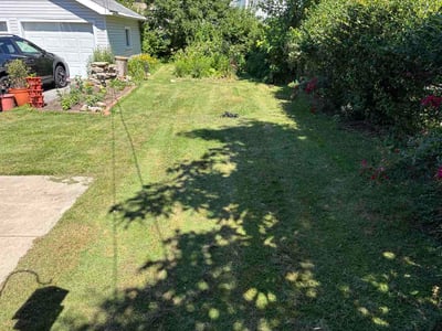 Lawn Care service in Lakewood, 44107