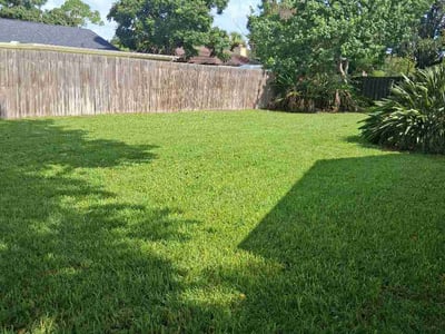 Lawn Care service in Dorchester, 02122