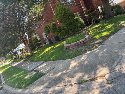 Lawn Care service in Rowlett, 75088