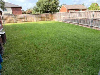 Lawn Care service in Rowlett, 75088
