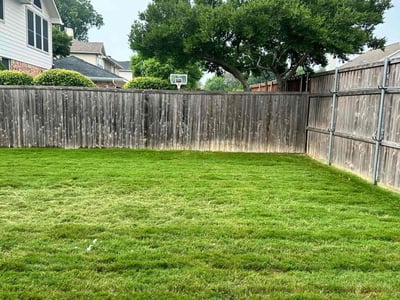Lawn Care service in Rowlett, 75088