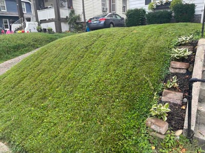 Lawn Care service in Norwood, 45212