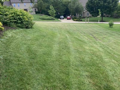 Lawn Care service in Waukesha, 53186