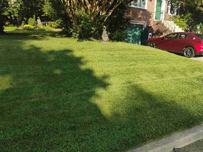 Lawn Care service in Gwynn Oak, 21207