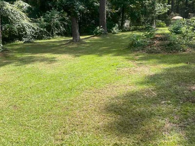 Lawn Care service in Union City, 30291