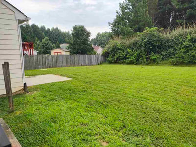 Lawn Care service in Union City, 30291
