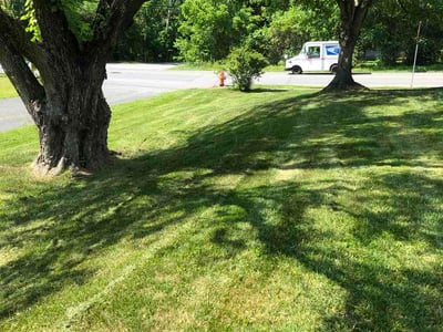 Lawn Care service in Gwynn Oak, 21207
