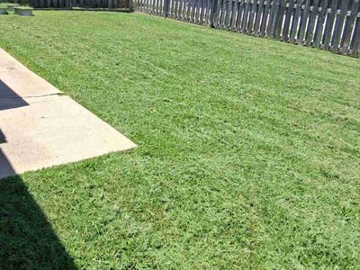 Lawn Care service in Farmers Branch, 75234