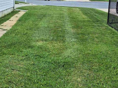 Lawn Care service in Randallstown, 21133