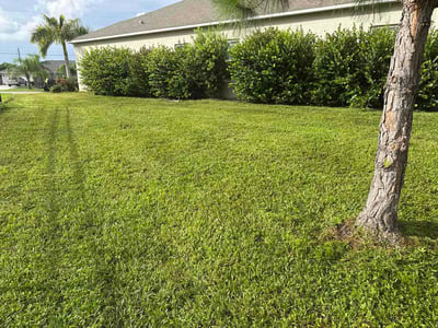 Lawn Care service in Punta Gorda, 33950