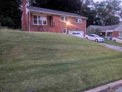 Lawn Care service in Elkridge, 21075