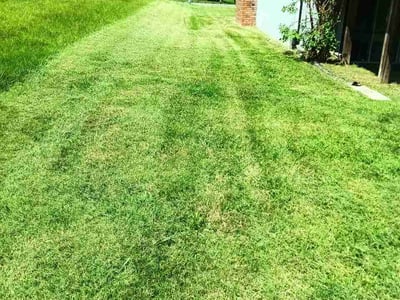 Lawn Care service in Glen Burnie, 21061