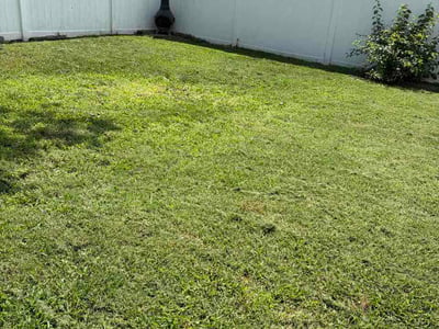Lawn Care service in Glen Burnie, 21061
